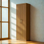 Imagen de Armario Multiuso 2 Puertas Organizador Estantes Dancol