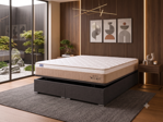 Imagen de Conjunto Baulera Auris Gel Extra King 32cm